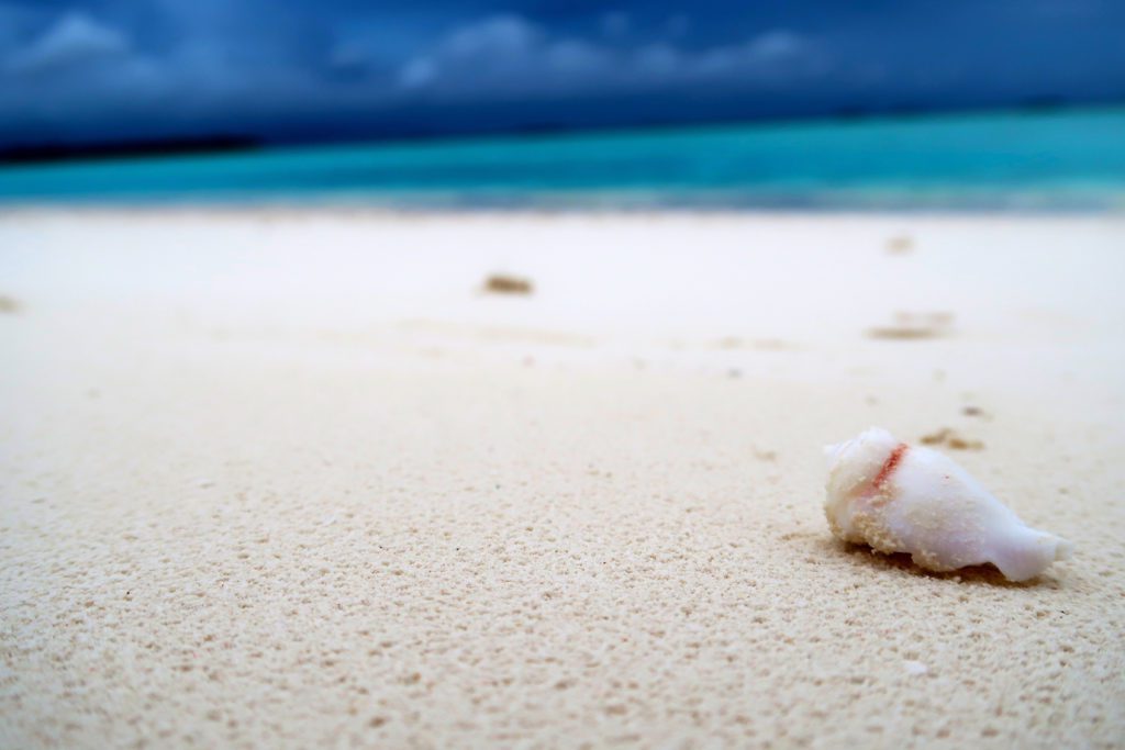 sand depletion